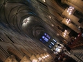 notredamedeparis2